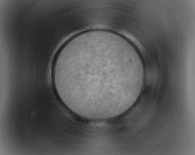 X0000092030886200710041059