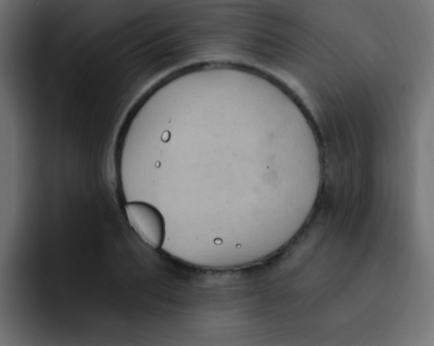 X0000092030887200710041059