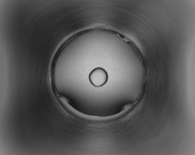 X0000092030888200710041059