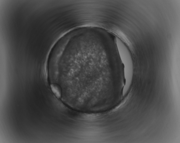 X0000092030892200710041059