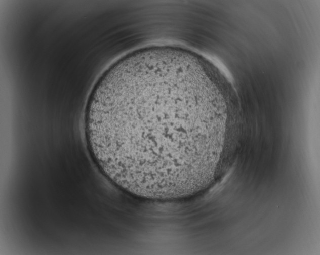 X0000092030895200710041059