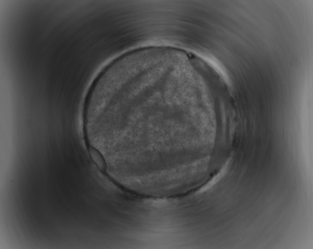 X0000092030896200710041059