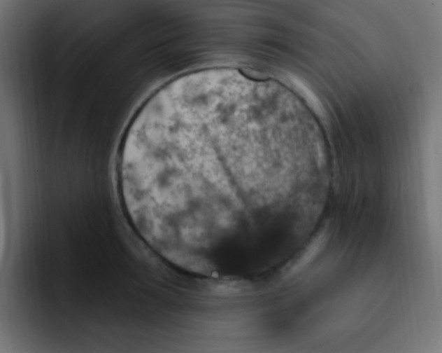 X0000092030899200710041059