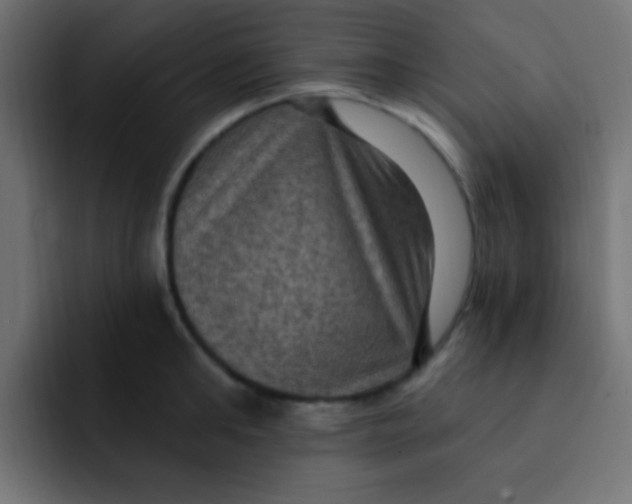 X0000092030902200710041059