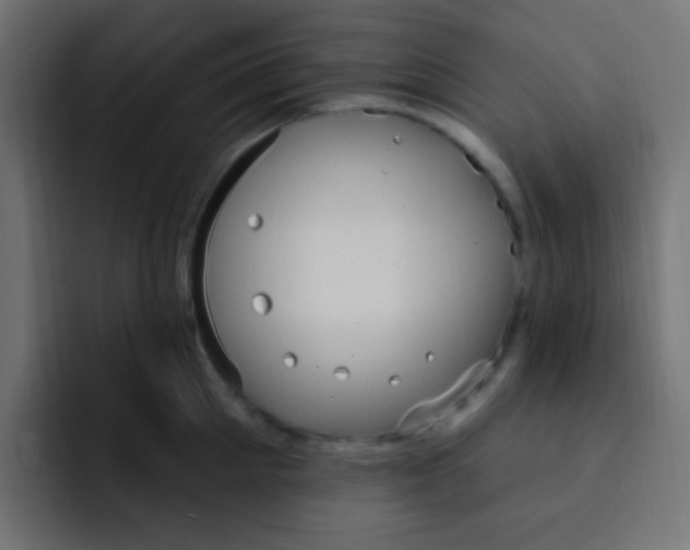 X0000092030905200710041059