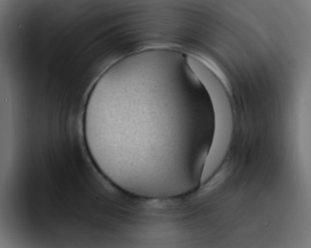 X0000092030906200710041059