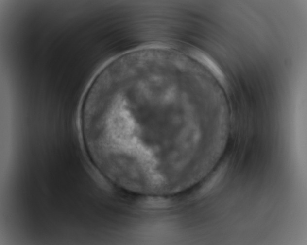 X0000092030907200710041059