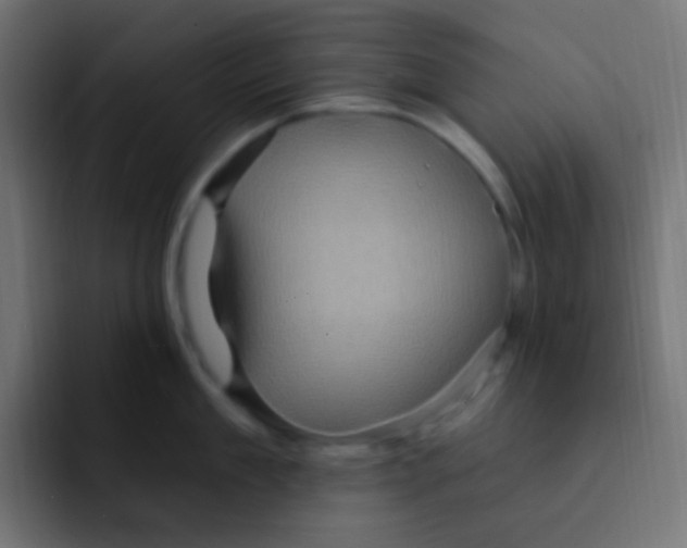 X0000092030909200710041059