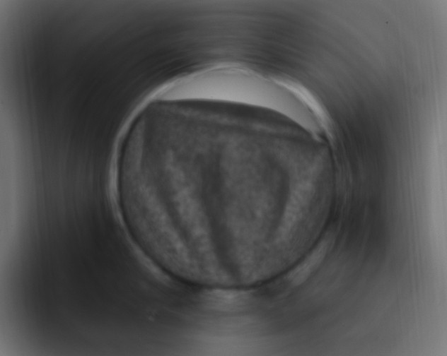 X0000092030910200710041059