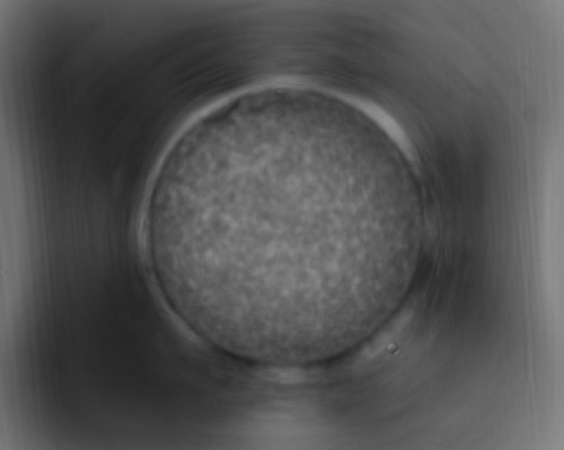 X0000092030911200710041059