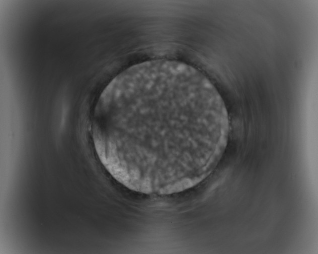 X0000092030913200710041058