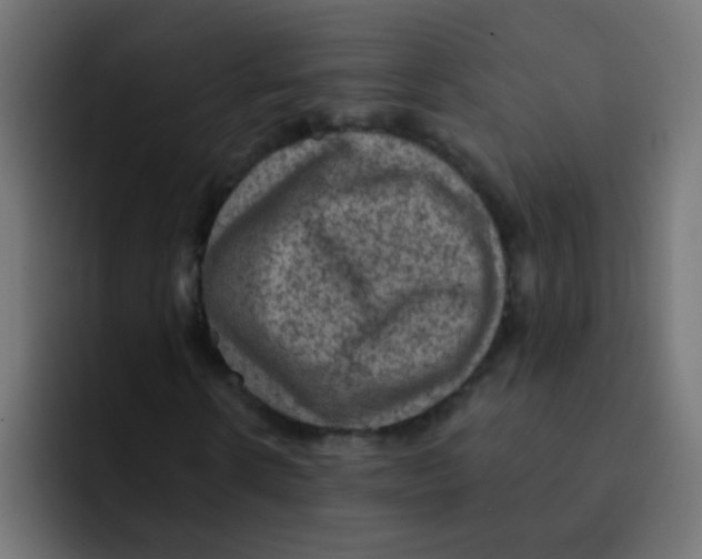 X0000092030914200710041058