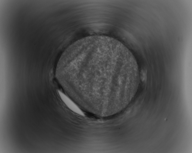 X0000092030915200710041058