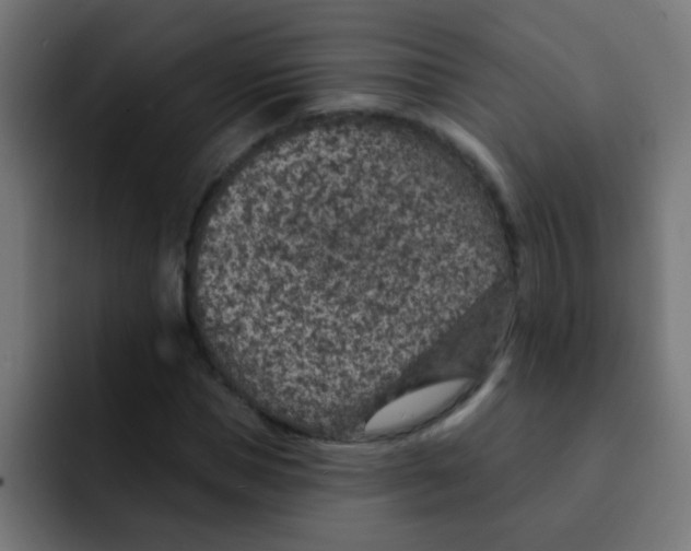 X0000092030921200710041058