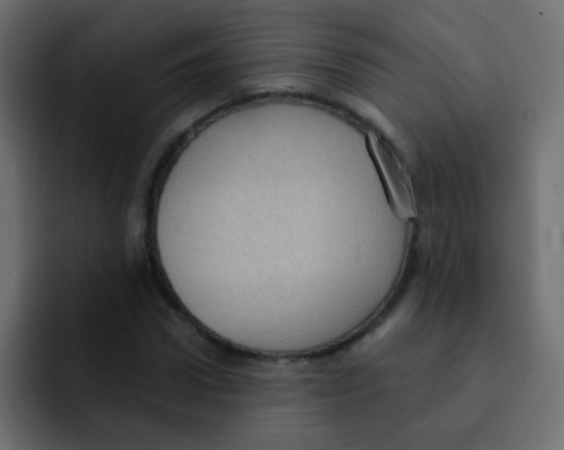 X0000092030922200710041058