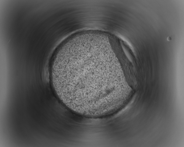 X0000092030925200710041059