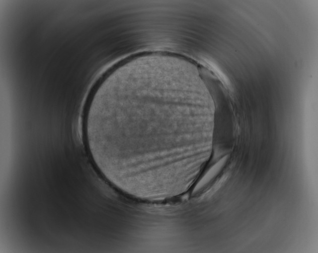 X0000092030932200710041059