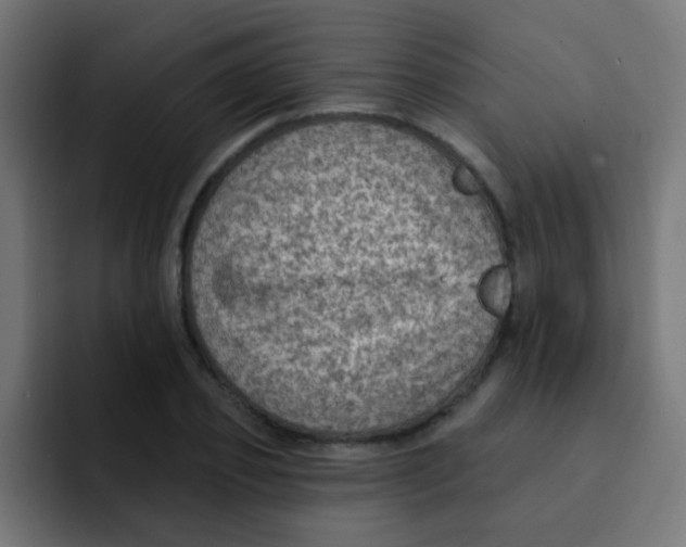 X0000092030933200710041059