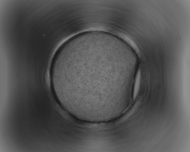 X0000092030936200710041059