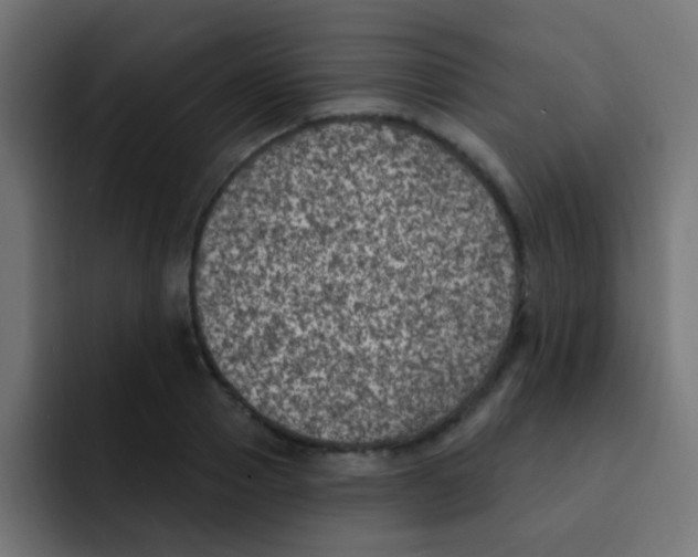 X0000092030937200710041059