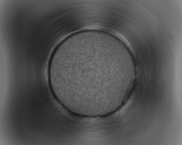 X0000092030939200710041059