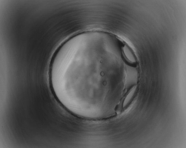 X0000092030941200710041059