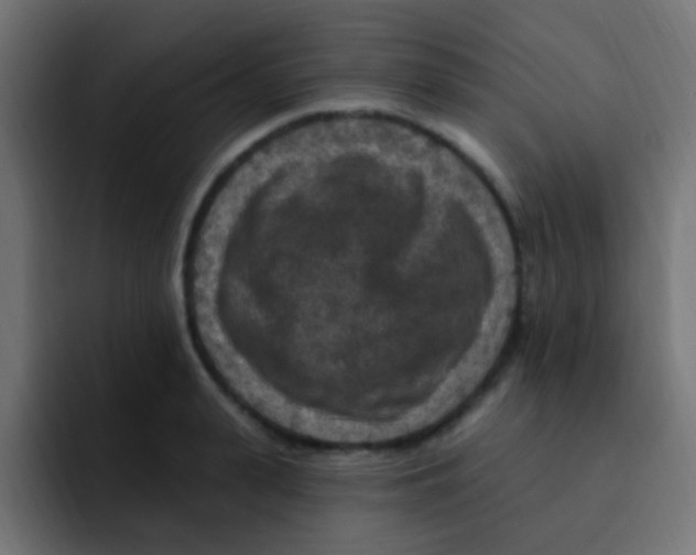 X0000092030943200710041059