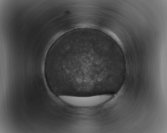 X0000092030946200710041059