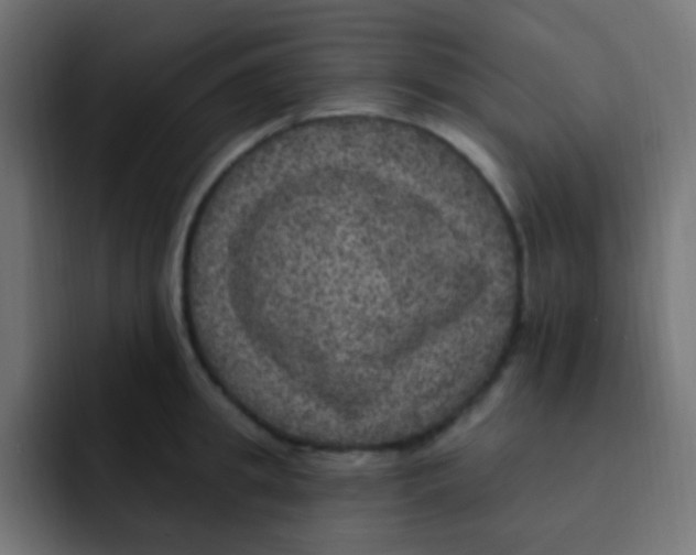 X0000092030949200710041059