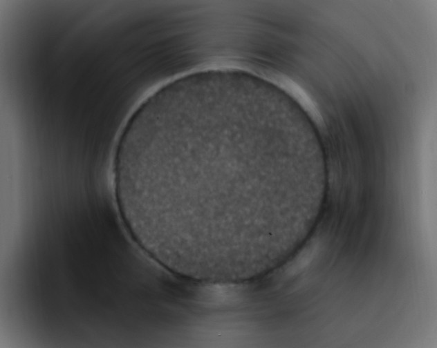 X0000092030950200710041059