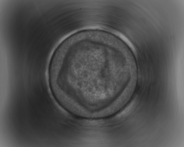 X0000092030951200710041059