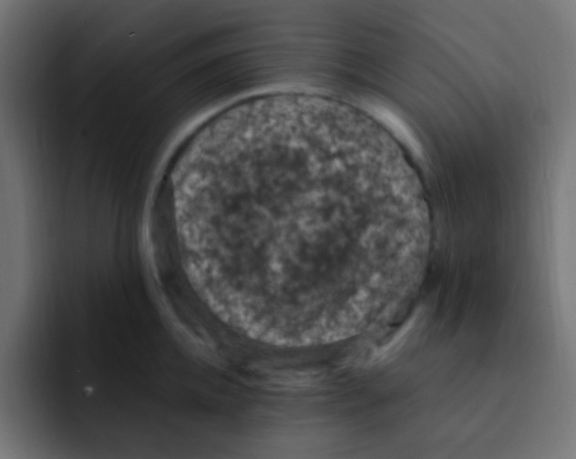 X0000092030952200710041059