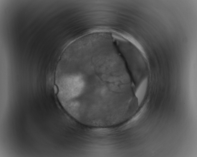 X0000092030953200710041059