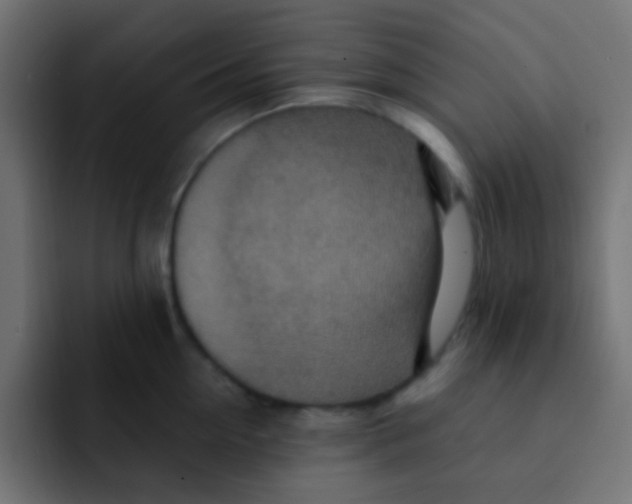 X0000092030954200710041059