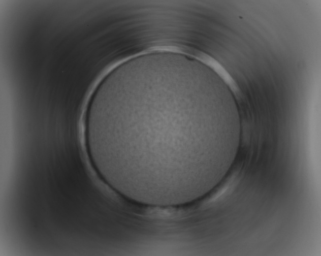 X0000092030955200710041059