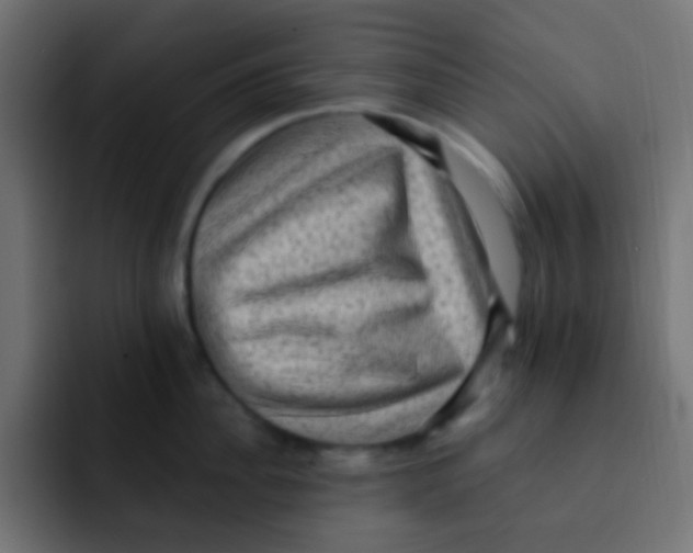 X0000092030956200710041059