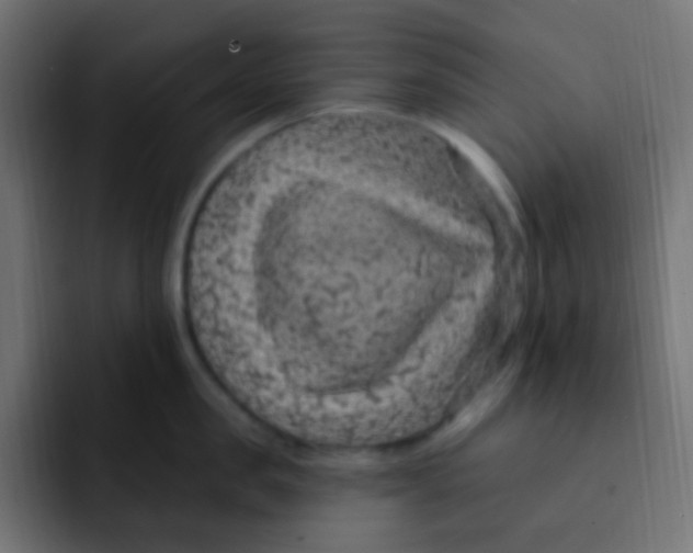 X0000092030957200710041059