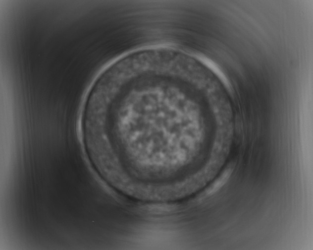 X0000092030959200710041059