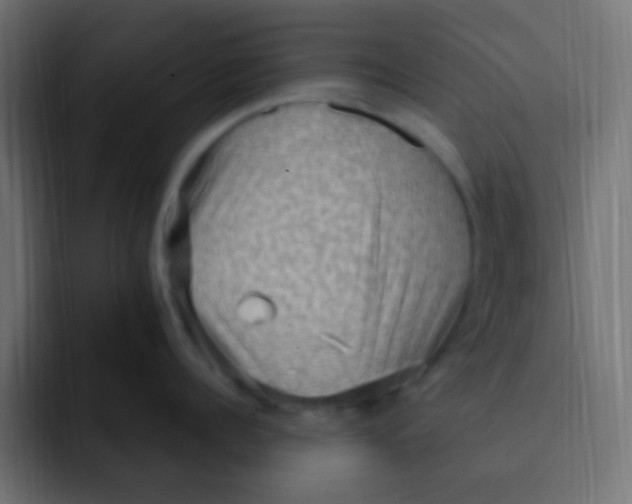 X0000092030960200710041059