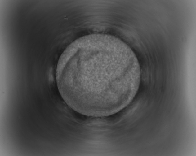 X0000092030962200710041058