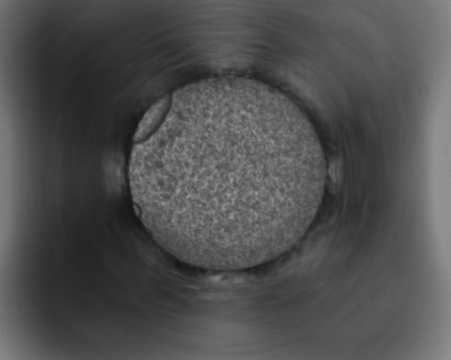 X0000092030963200710041058