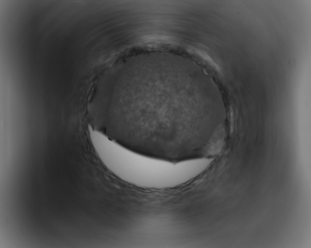 X0000092030965200710041058