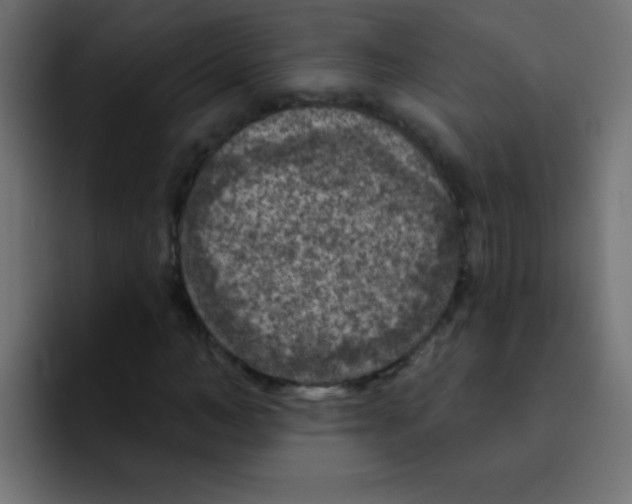 X0000092030966200710041058