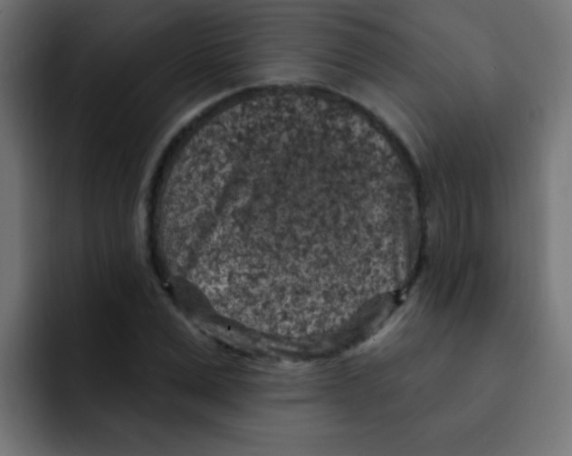 X0000092030975200710041058