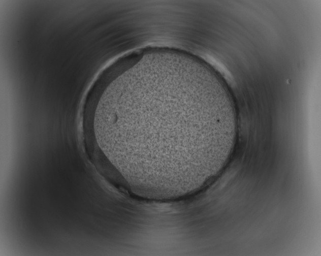 X0000092030976200710041058