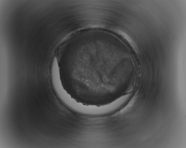 X0000092030977200710041058