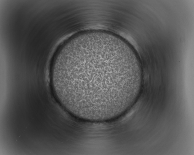 X0000092030979200710041058