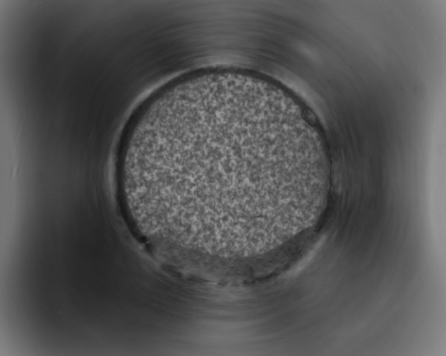 X0000092030983200710041058