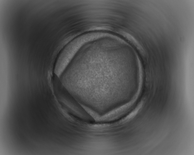 X0000092030985200710041058