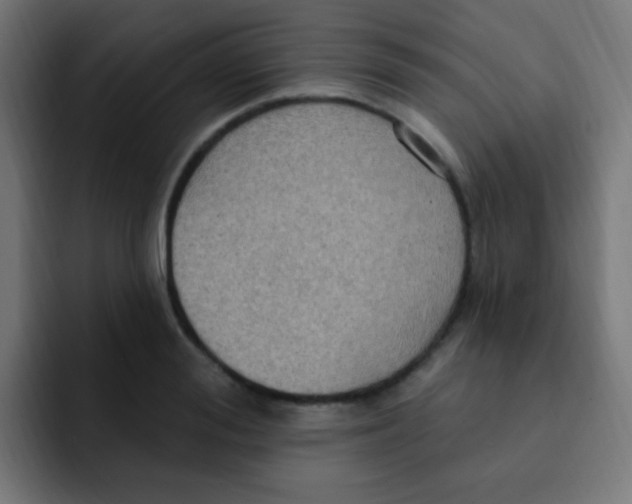 X0000092030988200710041058